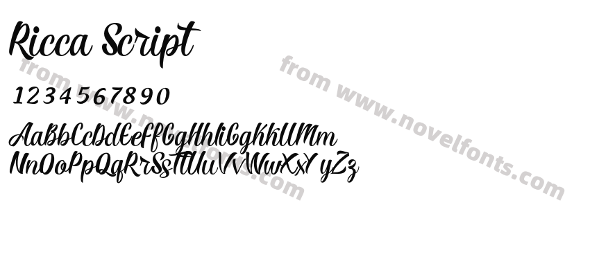 Ricca ScriptPreview