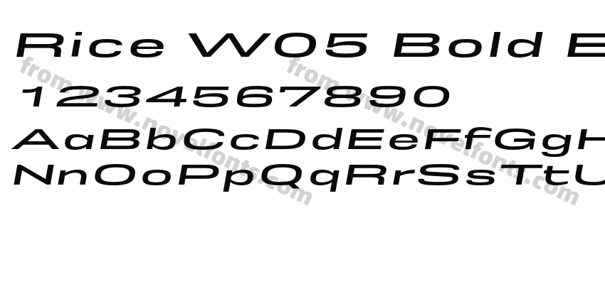 Rice W05 Bold Expanded ObliquePreview