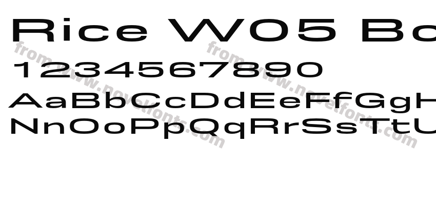 Rice W05 Bold ExpandedPreview