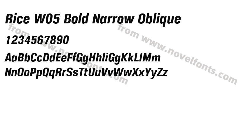 Rice W05 Bold Narrow ObliquePreview
