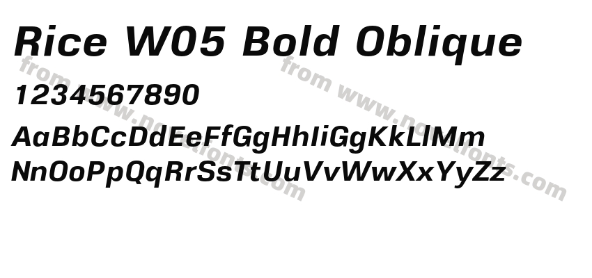 Rice W05 Bold ObliquePreview