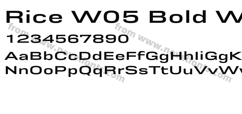 Rice W05 Bold WidePreview