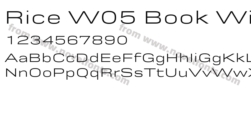 Rice W05 Book WidePreview