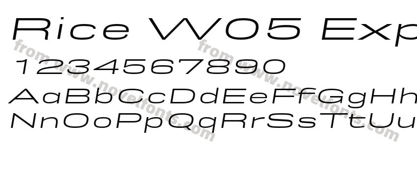 Rice W05 Expanded ObliquePreview