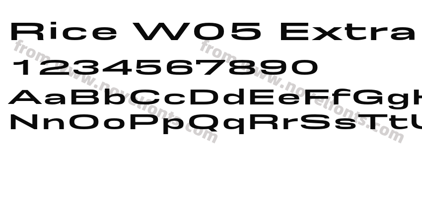 Rice W05 Extra Bold ExpandedPreview