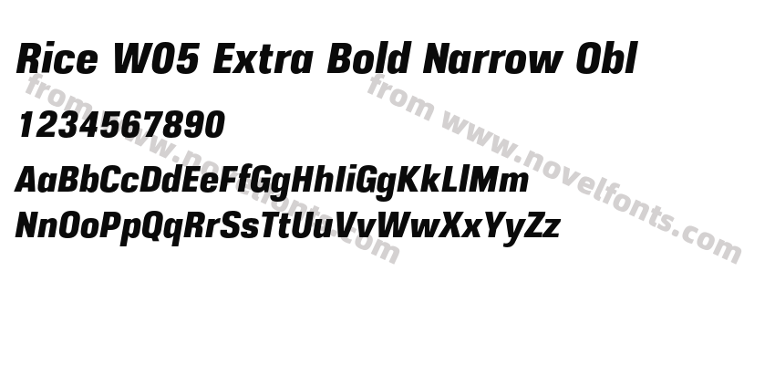 Rice W05 Extra Bold Narrow OblPreview