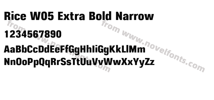 Rice W05 Extra Bold NarrowPreview