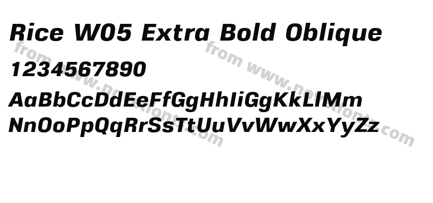 Rice W05 Extra Bold ObliquePreview