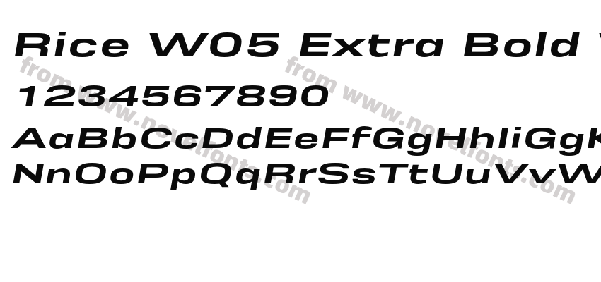 Rice W05 Extra Bold Wide OblPreview