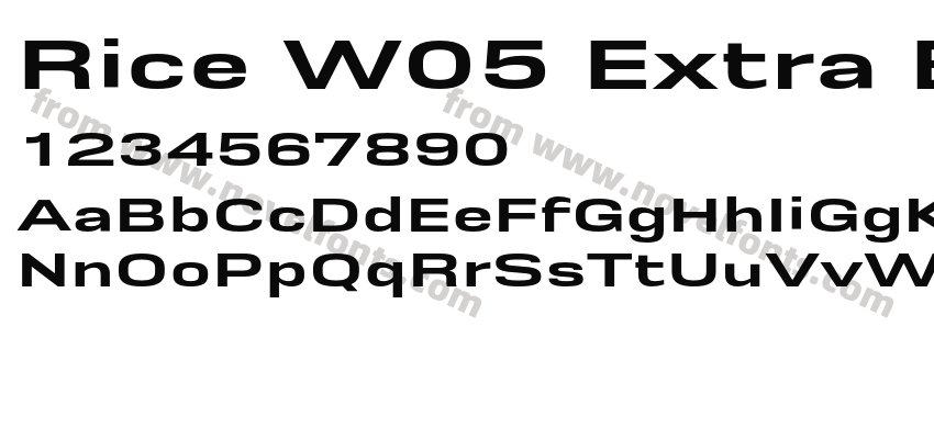 Rice W05 Extra Bold WidePreview