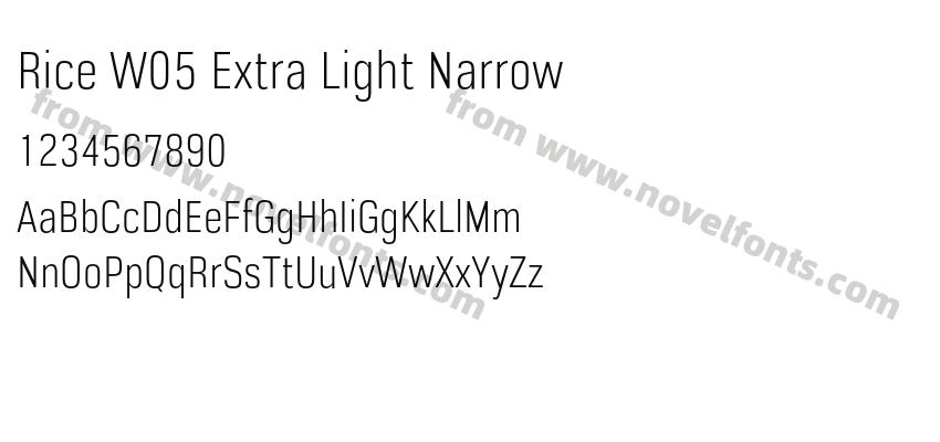 Rice W05 Extra Light NarrowPreview