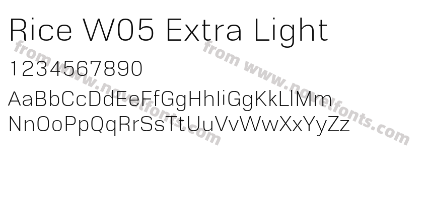 Rice W05 Extra LightPreview