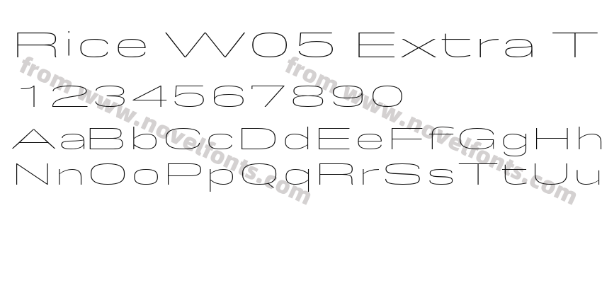 Rice W05 Extra Thin ExpandedPreview