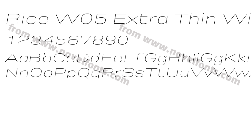 Rice W05 Extra Thin Wide OblPreview