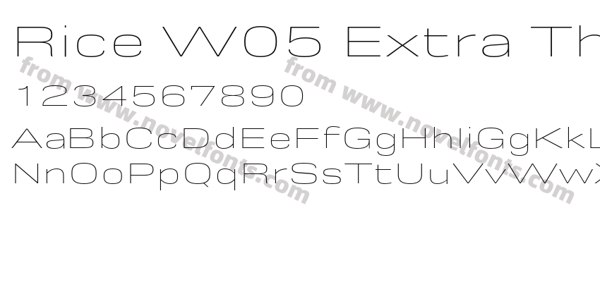 Rice W05 Extra Thin WidePreview