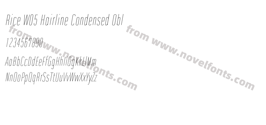 Rice W05 Hairline Condensed OblPreview
