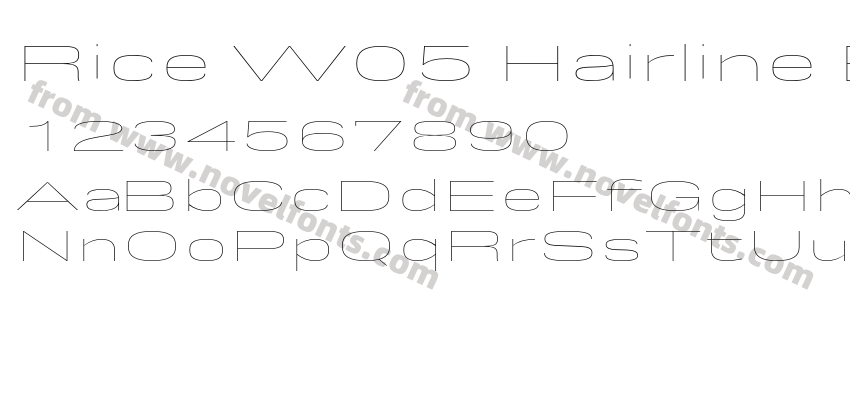 Rice W05 Hairline ExpandedPreview