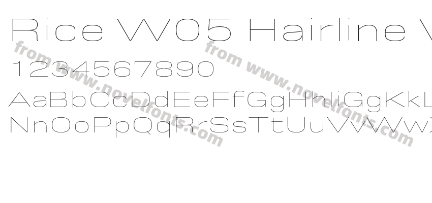 Rice W05 Hairline WidePreview