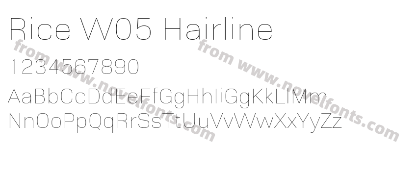 Rice W05 HairlinePreview