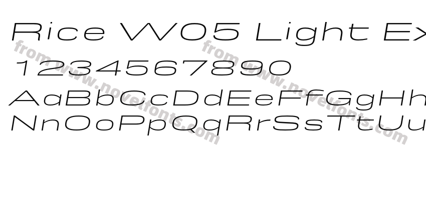Rice W05 Light Expanded ObliquePreview