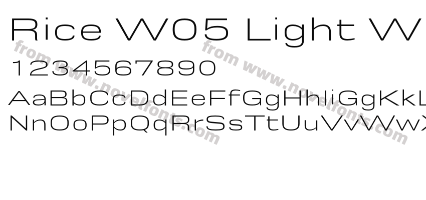 Rice W05 Light WidePreview