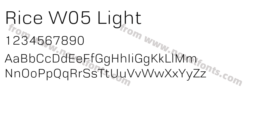 Rice W05 LightPreview