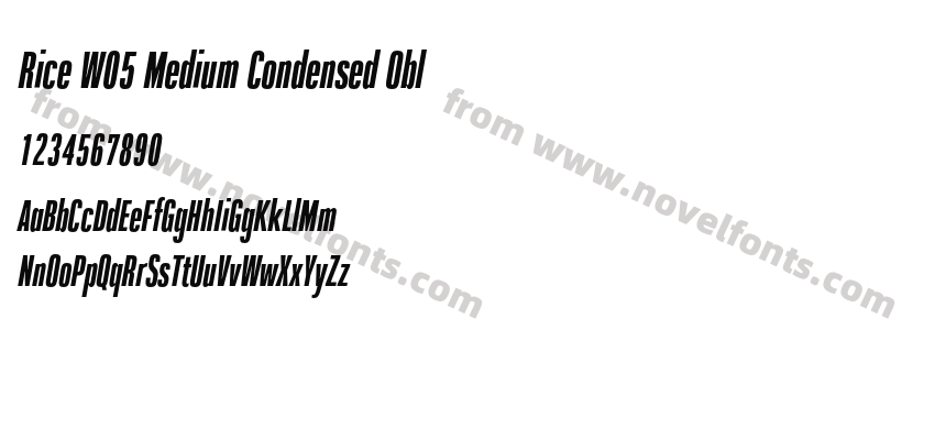 Rice W05 Medium Condensed OblPreview