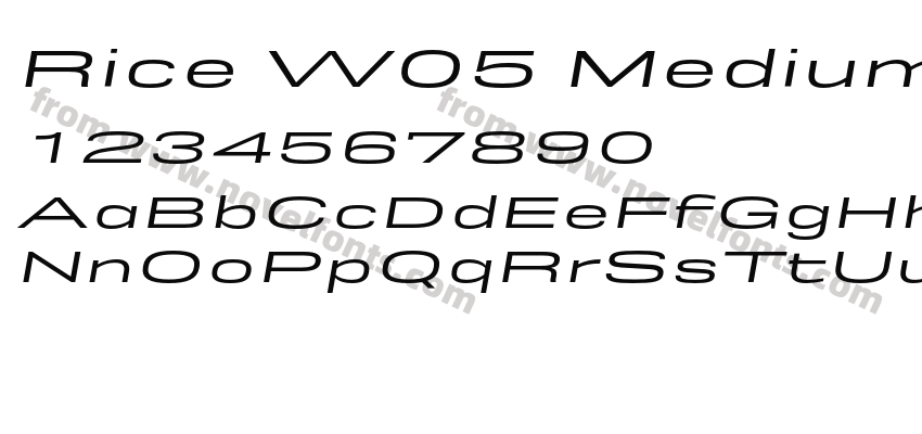 Rice W05 Medium Expanded OblPreview
