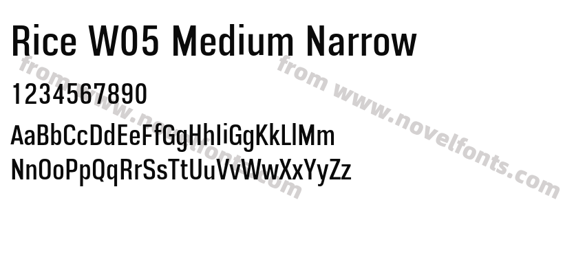 Rice W05 Medium NarrowPreview