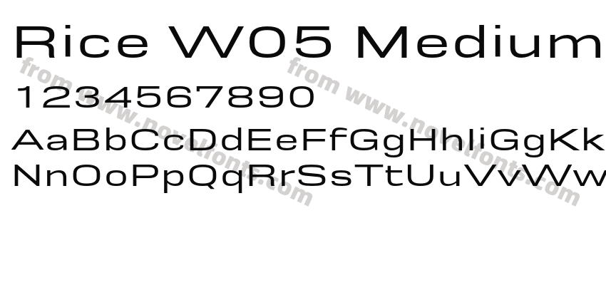 Rice W05 Medium WidePreview