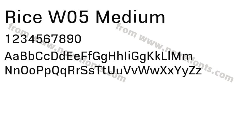 Rice W05 MediumPreview
