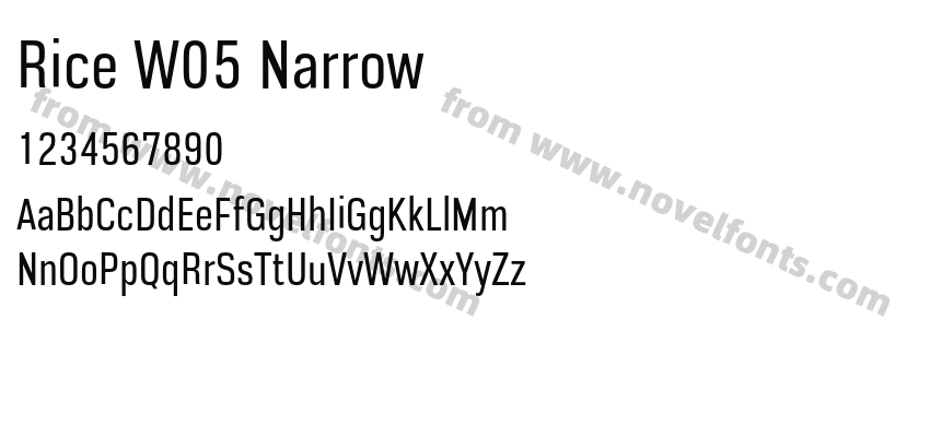 Rice W05 NarrowPreview