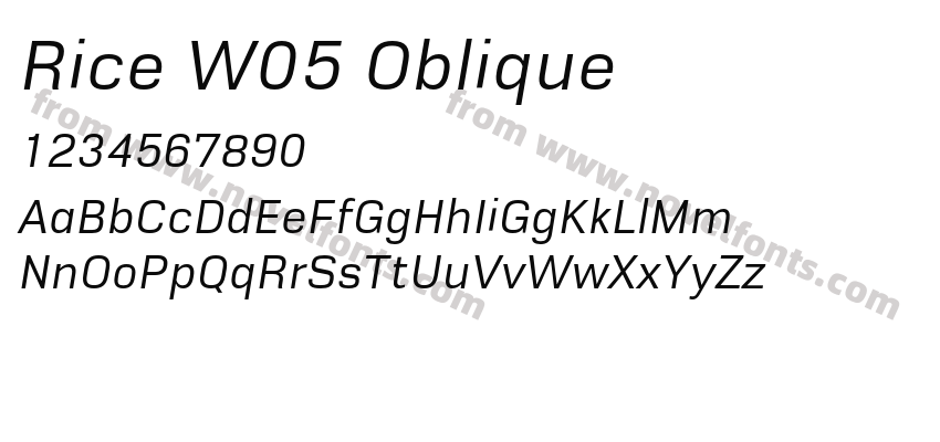 Rice W05 ObliquePreview