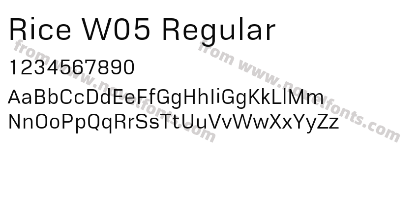 Rice W05 RegularPreview