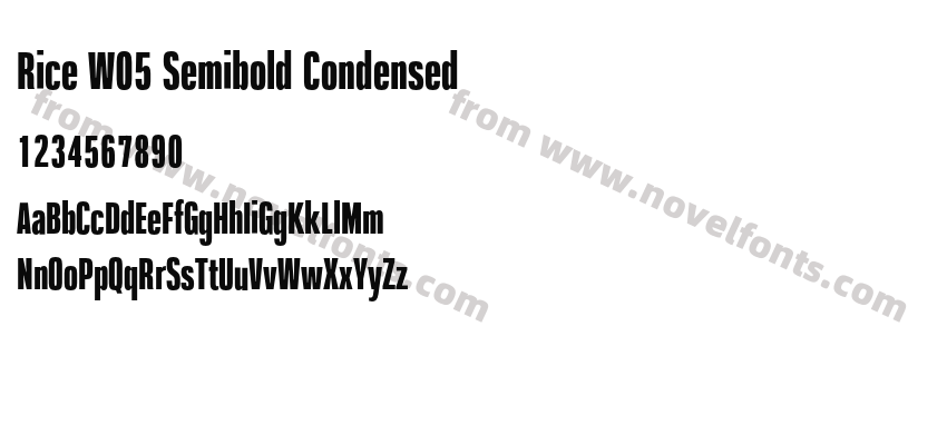 Rice W05 Semibold CondensedPreview