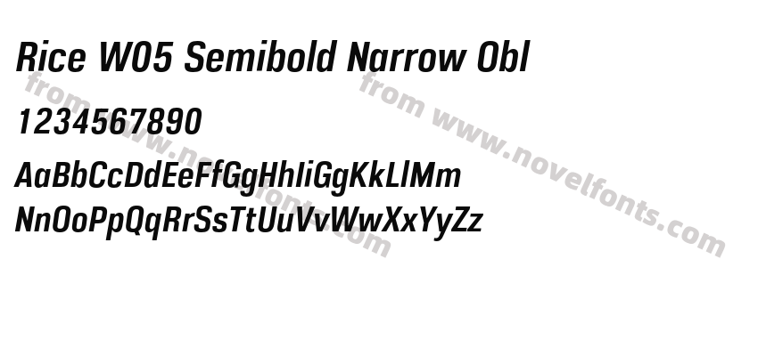 Rice W05 Semibold Narrow OblPreview