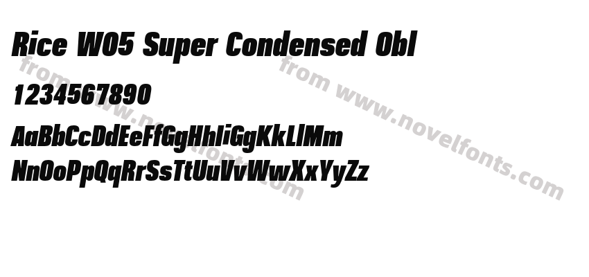 Rice W05 Super Condensed OblPreview