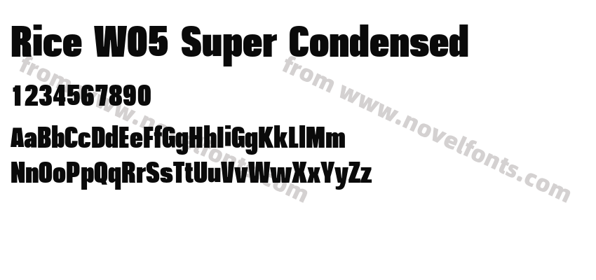 Rice W05 Super CondensedPreview