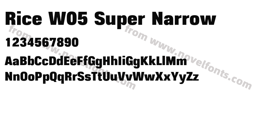 Rice W05 Super NarrowPreview