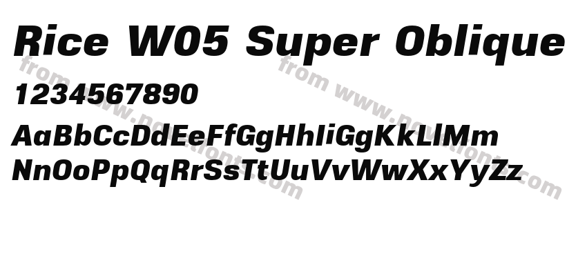Rice W05 Super ObliquePreview