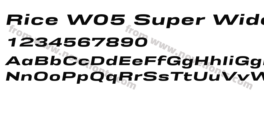 Rice W05 Super Wide ObliquePreview