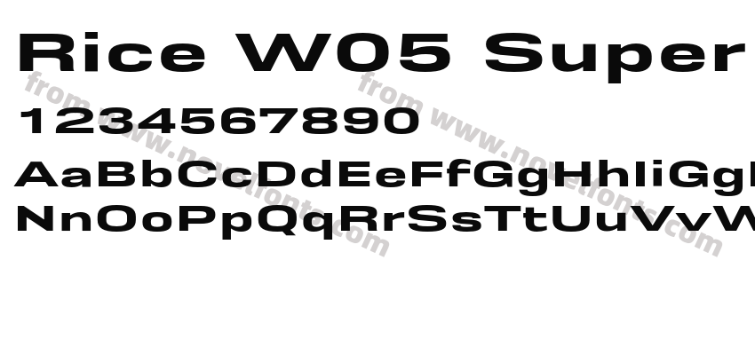 Rice W05 Super WidePreview