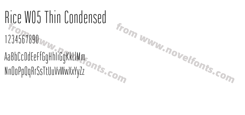 Rice W05 Thin CondensedPreview