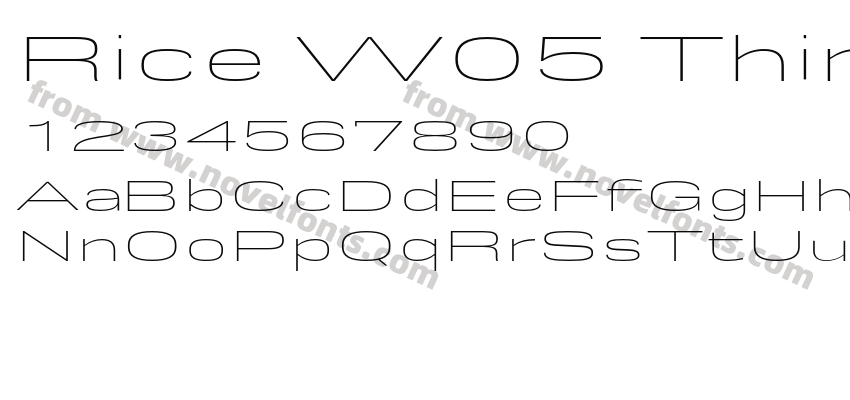 Rice W05 Thin ExpandedPreview