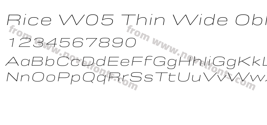 Rice W05 Thin Wide ObliquePreview