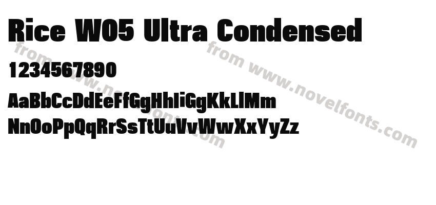 Rice W05 Ultra CondensedPreview