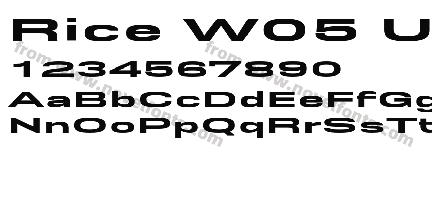 Rice W05 Ultra ExpandedPreview