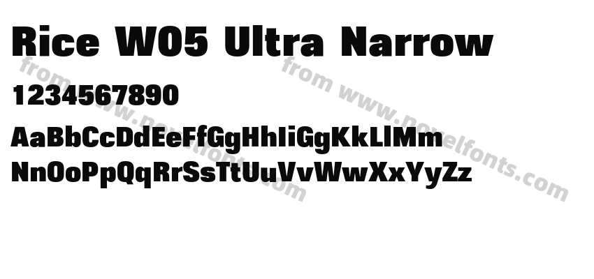 Rice W05 Ultra NarrowPreview