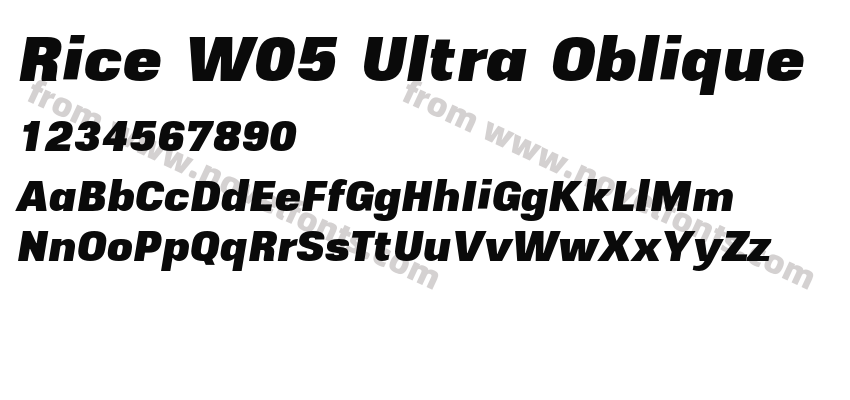Rice W05 Ultra ObliquePreview