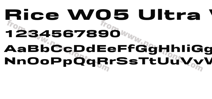 Rice W05 Ultra WidePreview